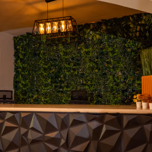Recepción con pared vegetal