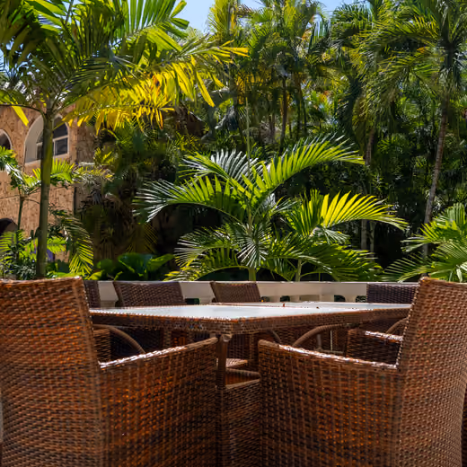Mesa en terraza rodeada de palmeras