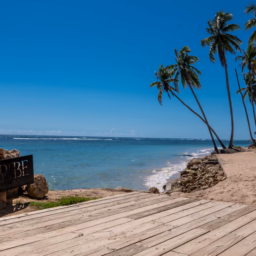 Playa con palmeras y deck de madera